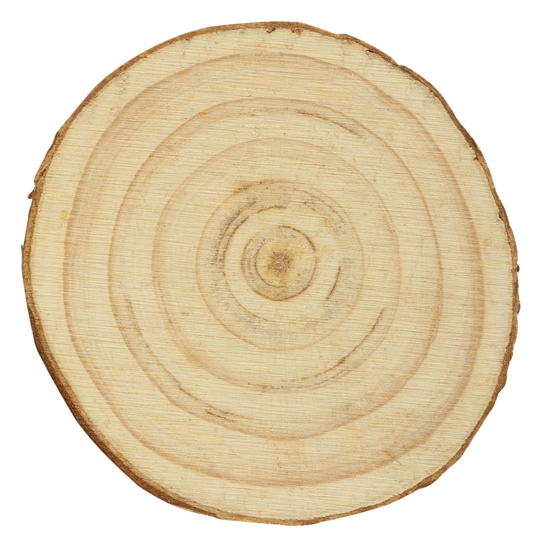 Model slika HOLLY - Slika 1