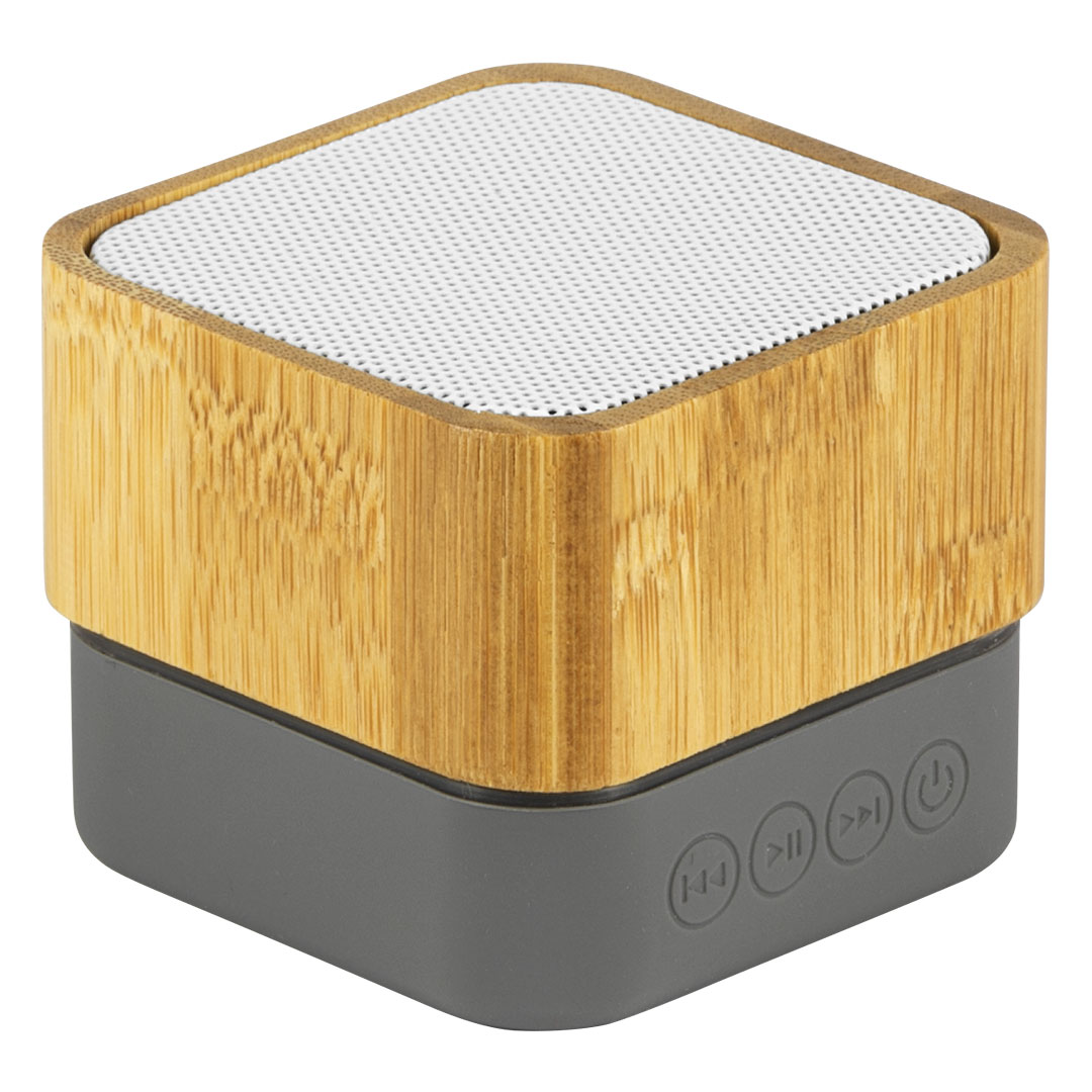 Model slika INTRO - Slika 1