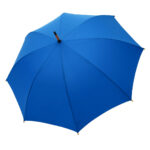 CLASSIC NATURE - Slika 6