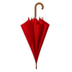 CLASSIC NATURE - Slika 5