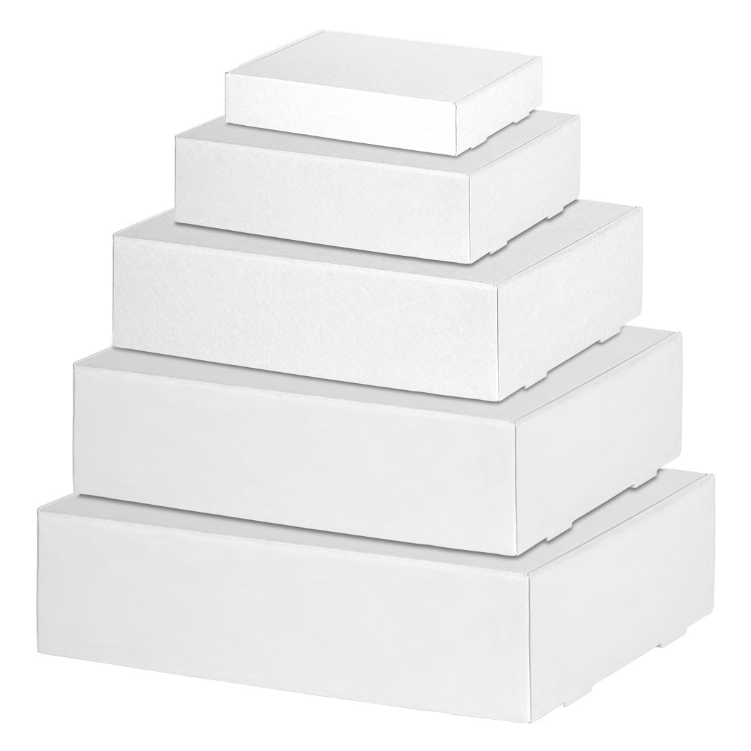 Model slika FORMAT - Slika 1