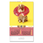 NAJBOLJI PRIJATELJI - Slika 5