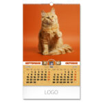 NAJBOLJI PRIJATELJI - Slika 6