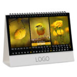 BOJE PRIRODE 29 - Slika 11