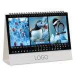 BOJE PRIRODE 29 - Slika 13