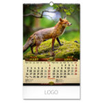 DOBAR POGLED - Slika 3