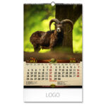 DOBAR POGLED - Slika 4