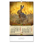 DOBAR POGLED - Slika 6