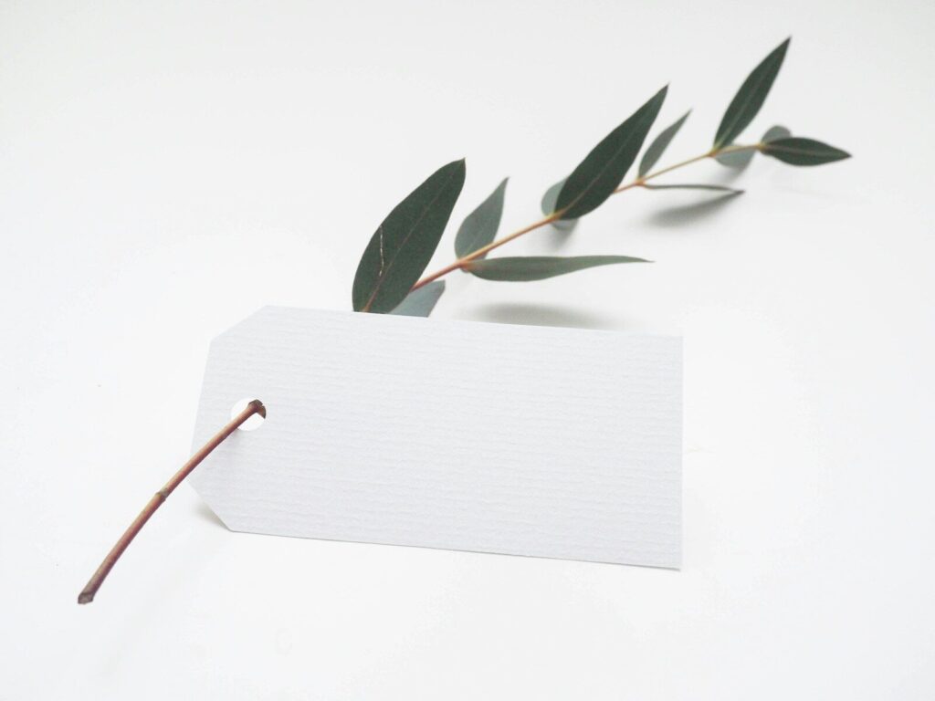 Minimalistički štampani materijal sa elegantnim dizajnom i prirodnim motivima za promociju brenda i poslovnih događaja.